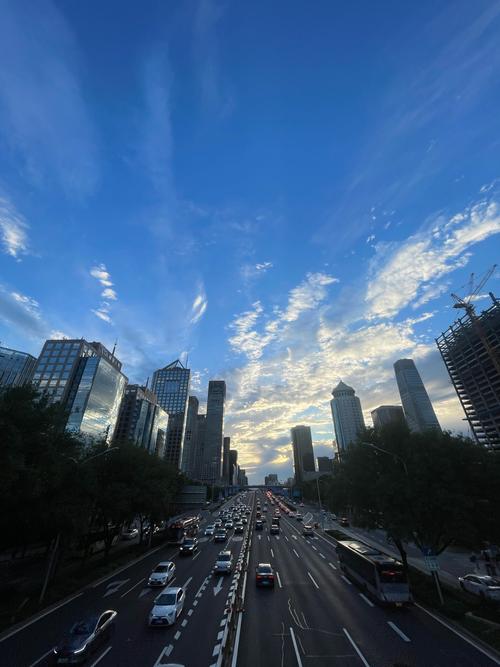 深入分析：我的都市生活下载地址及其背后潜力