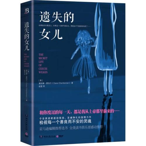 《遗失的女儿汉化版下载》：探索绅士游戏的文化与市场潜力