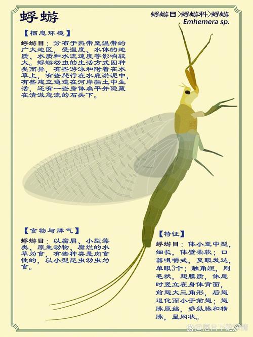 蜉蝣V0.2官网分析：新一代绅士游戏的潜力与挑战