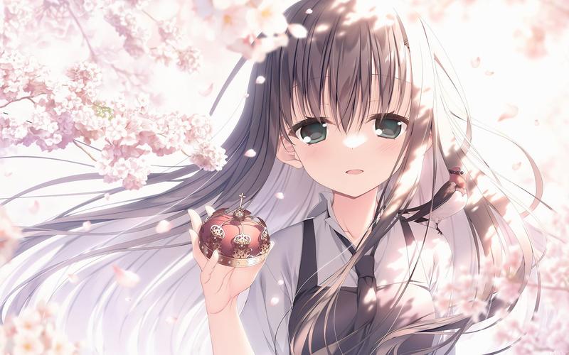 本文教你樱之刻如何下载并安全安装到电脑与手机