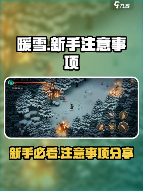 暖雪游戏下载在哪里拿到正版、怎么安装与常见问题的实战