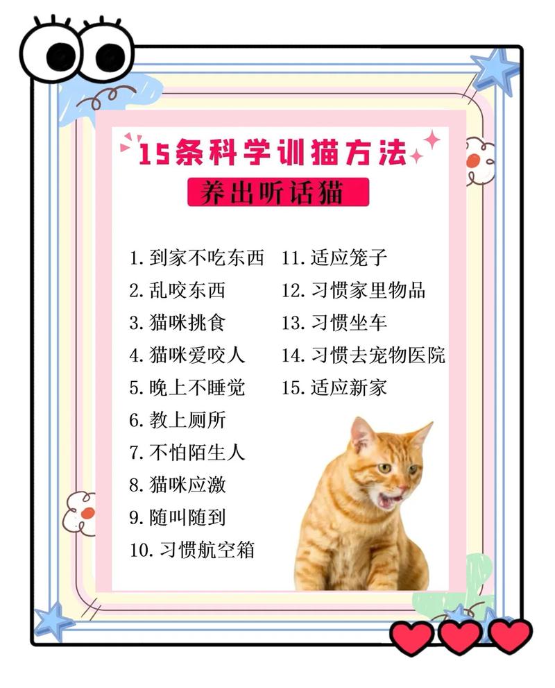 如何安全地进行猫研社下载安卓并在手机上顺利安装使用