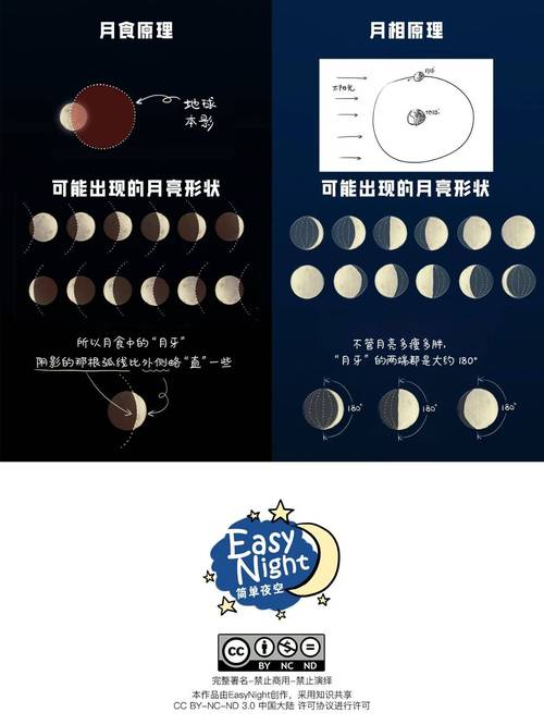 哪里能找到可靠的月食下载地址,分平台对比与实用