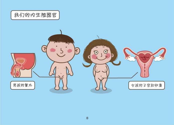 性启蒙游戏介绍怎样通过玩让孩子学会身体认知、界限与沟通