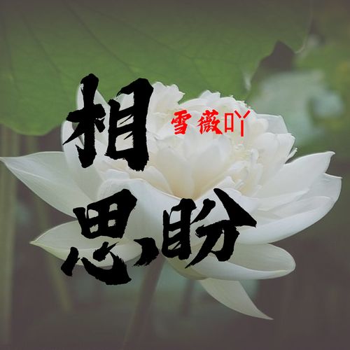 寻找爱相思下载地址时优先选择官方与主流平台是最稳妥的做法