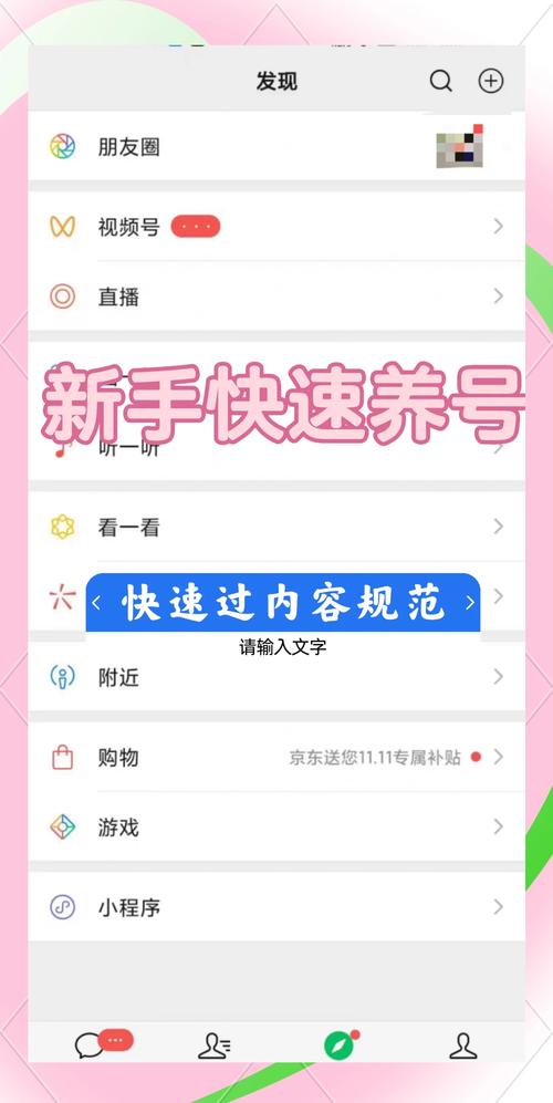 如何获取并正确安装视灵1最新版本