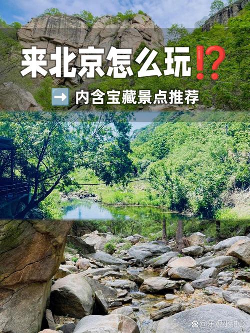 精灵谷最新版本该如何确认与选择你最合适的平台
