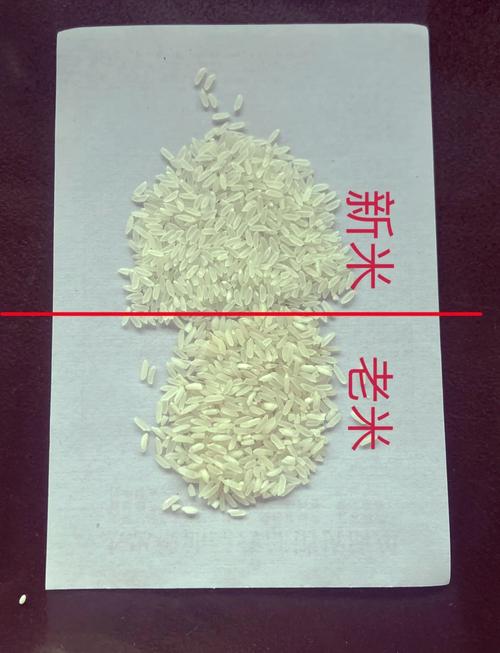 如何识别并安全使用米拉游戏官网,这里有我多年经验的建议