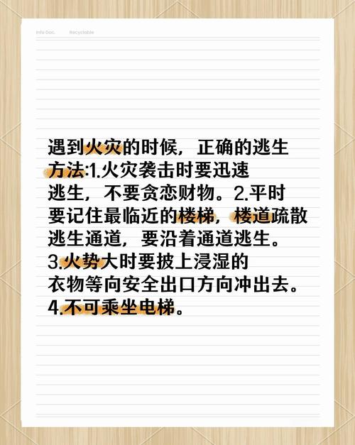 如何安全、迅速地确认并使用夜行官网