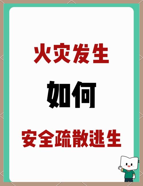 如何安全、迅速地确认并使用夜行官网