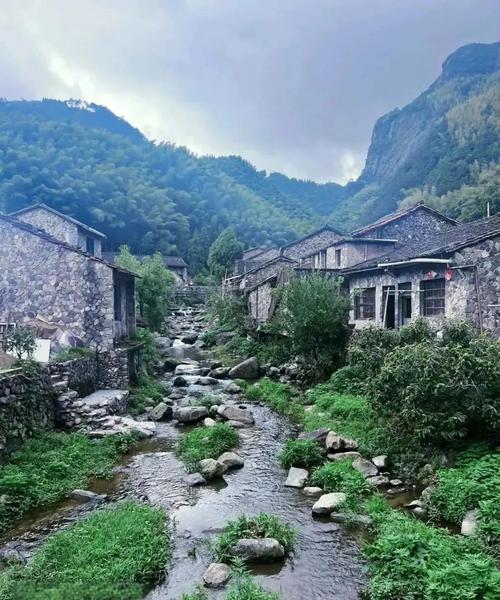 在哪里可以找到肉壺村更新地址以及如何安全获取