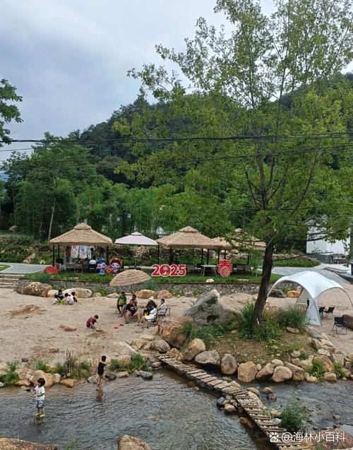在哪里可以找到肉壺村更新地址以及如何安全获取