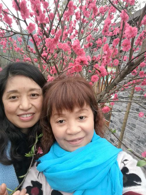 母三人如何下载从官网购买到本地安装的可选路线对比与实操建议