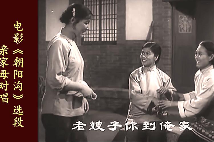 母三人如何下载从官网购买到本地安装的可选路线对比与实操建议
