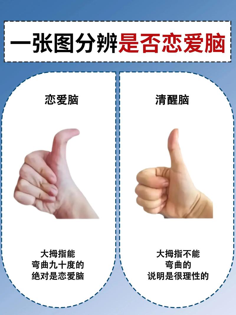 你可以通过这几步确认露娜官方网站是否可信