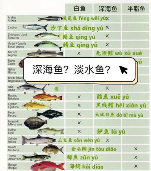 如何确认和安全访问鱼子酱官方网站