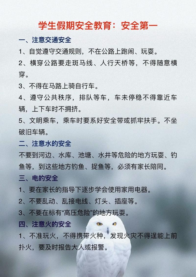 这篇文章教你如何安全上手鱼子酱绅士游戏