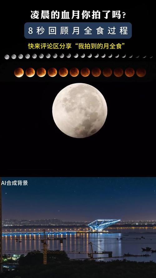 月食在哪下载从深夜讨论到靠谱获取的全方位指引