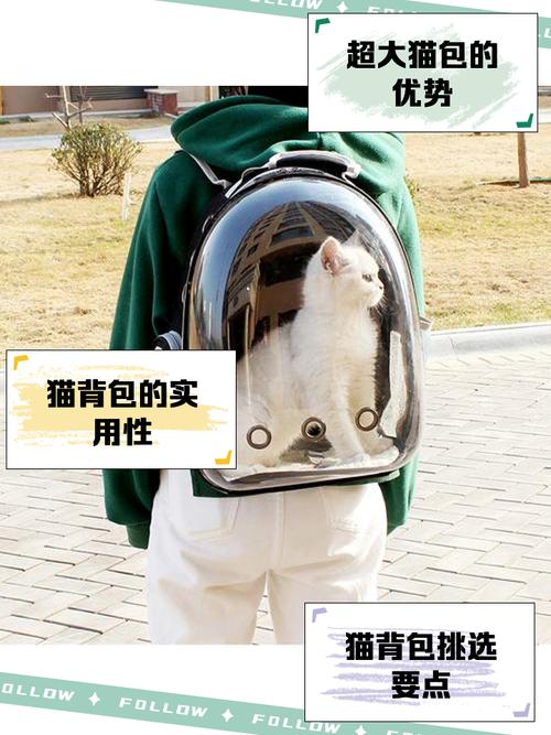 猫研社版本大全应该包括的全部分类与实用选择建议