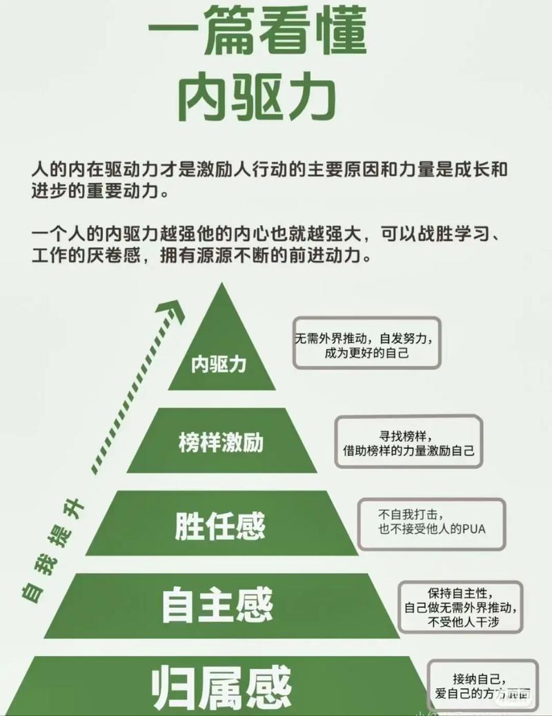 如何安全快速完成驱逐舰游戏下载并在各平台流畅运行