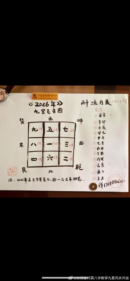 金童最新版本如何确认、获取与安全升级