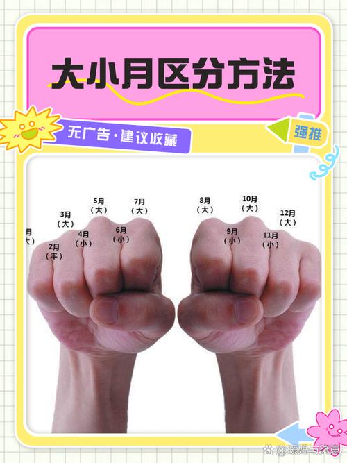 如何安全、快速掌握月之境最新版本的关键变化
