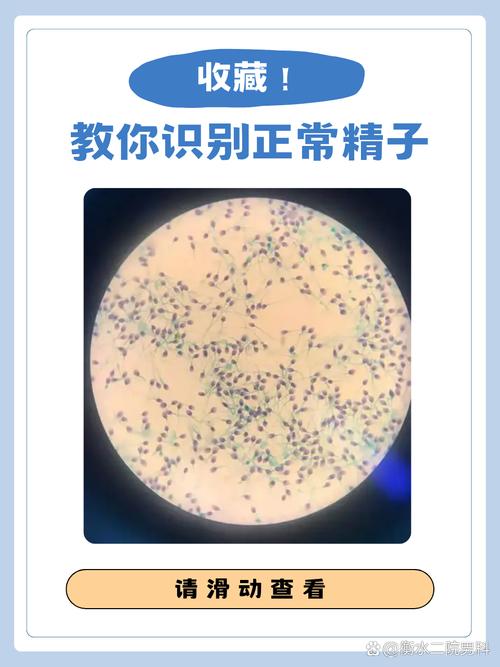 如何快速找到并辨别精灵谷官方网站