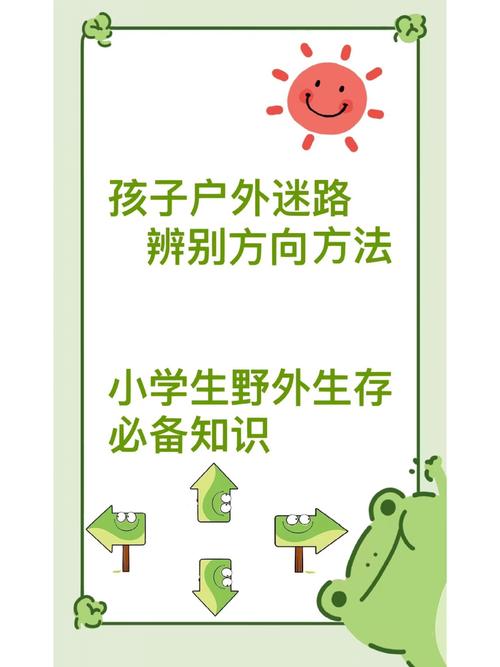 如何快速辨别并安全访问欢乐岛官网